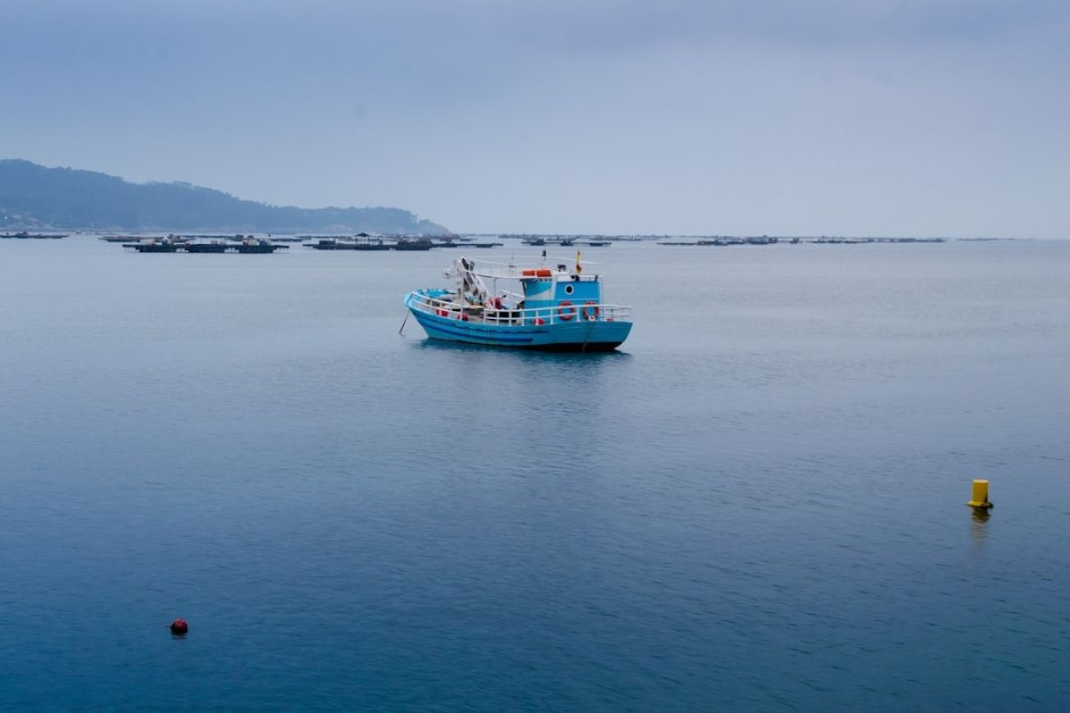 Bateau amorceur : l'outil clé des pêcheurs