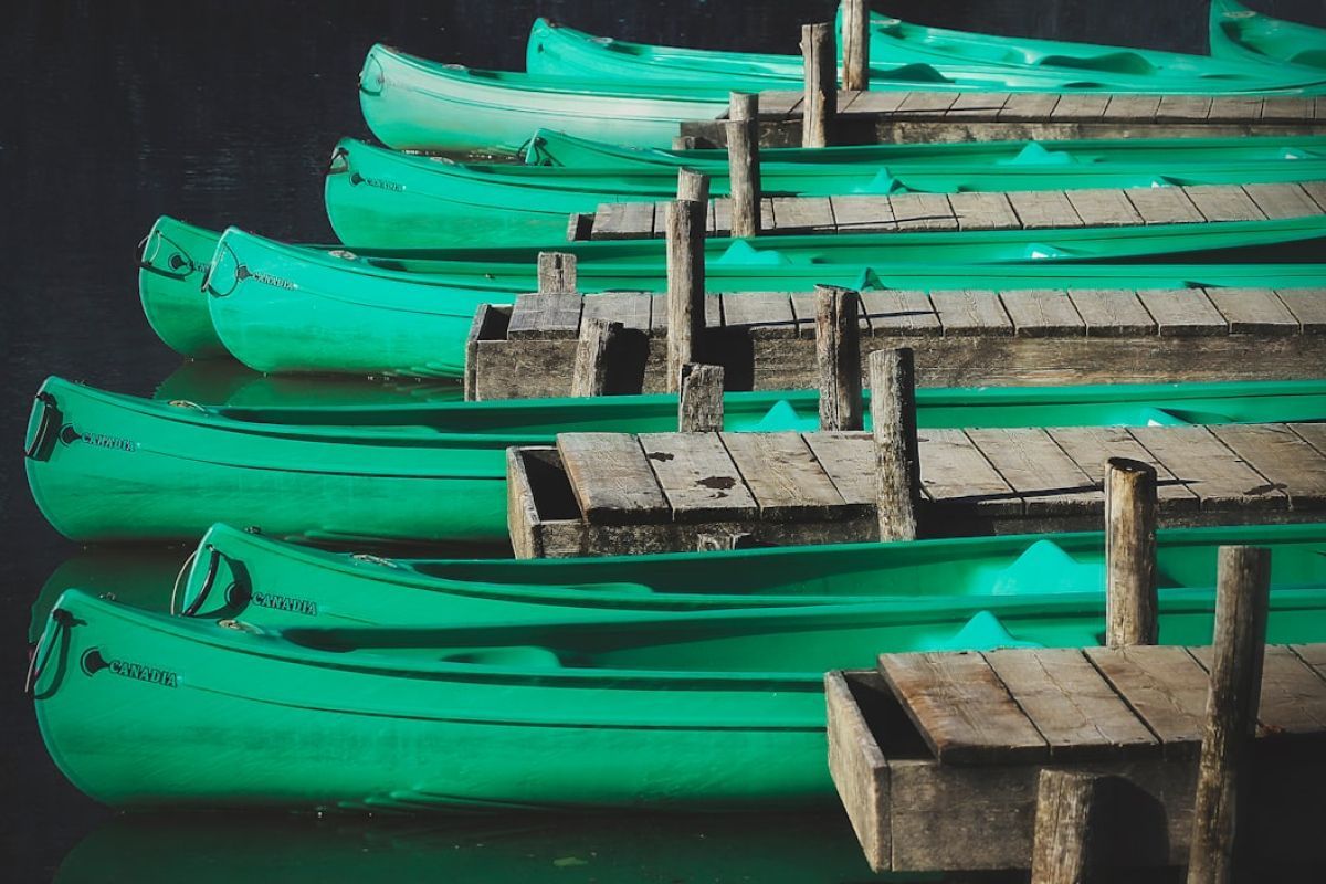 Découvrez les 17 types de bateaux et navires en 2024